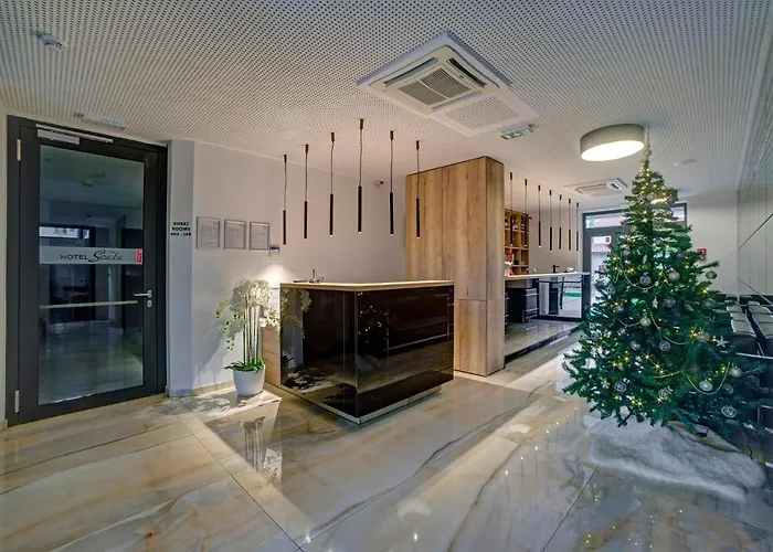 酒店 Scala D'oro 沃迪切